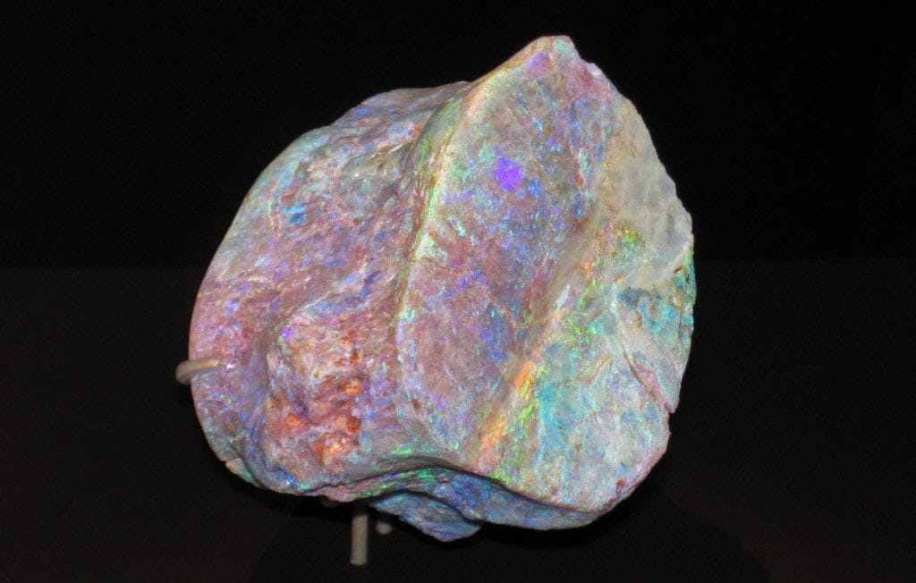 opalized fossil plesiosaur bone - gem formation